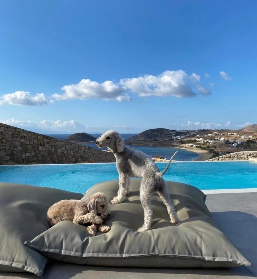 Villa Agapi, 2 Min Walk To The Beach & Heated Pool, By Red Windmill Villas Καλαφάτη Εξωτερικό φωτογραφία